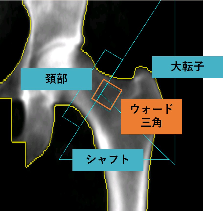 Technical Tips_guideline202501.jpg